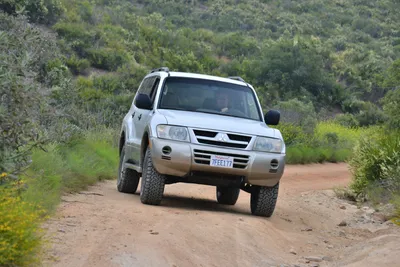 DSC_6848 (Large).JPG